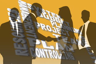 乐鱼体育平台-冠军球队社会责任项目获社区高度评价与广泛参与,冠军组织的定义