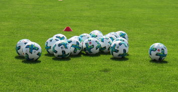 乐鱼体育在线登录-国际足坛人才培养论坛讨论未来发展方向,足球人才培养方案