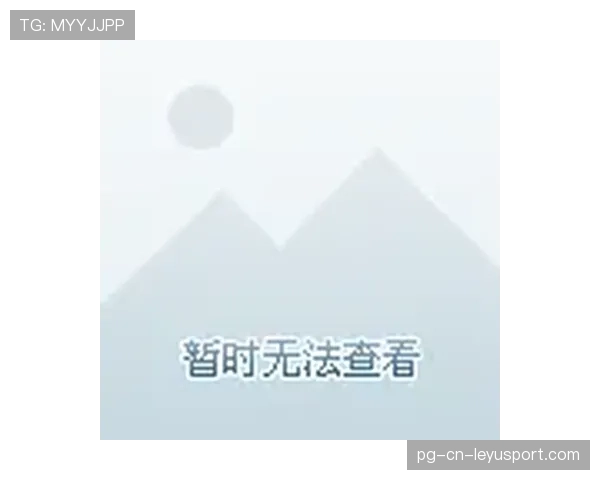 球场临时座椅租赁合同与夜间加固检测记录