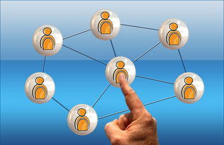 乐鱼体育平台-冠军球队社会责任项目获社区高度评价与广泛参与，冠军组织的定义